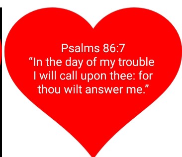 Screenshot_20220216-162918_Photos~2