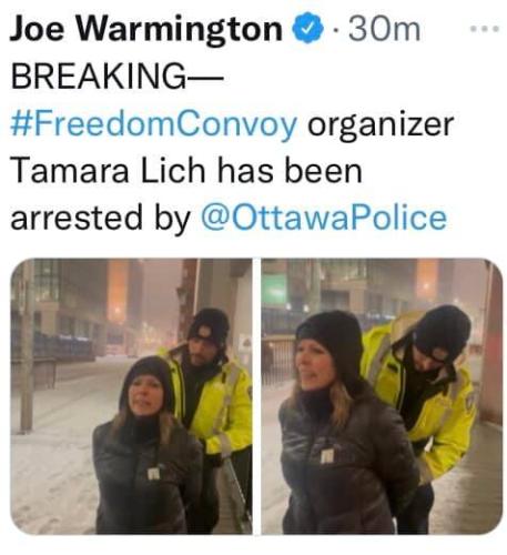 Trucker Arrest 2
