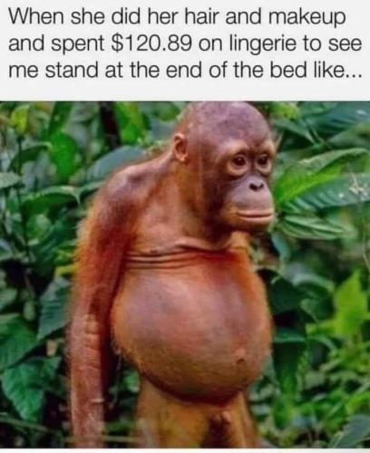FB_IMG_1643455701322