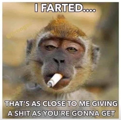 FB_IMG_1645229374629