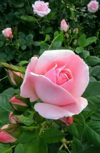 19:07:58 GMT-0600 (CST)