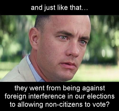voterfraud281