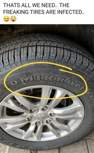 272315823_6763237070384402_3983199497147326690_n