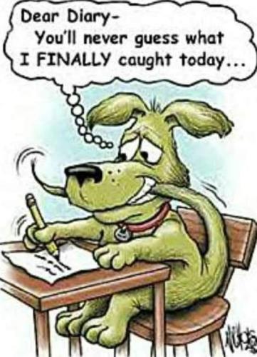 274237767_5206896146042229_6237278665937094830_n