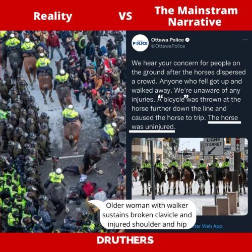 274282541_431688262086307_1871065292293080777_n