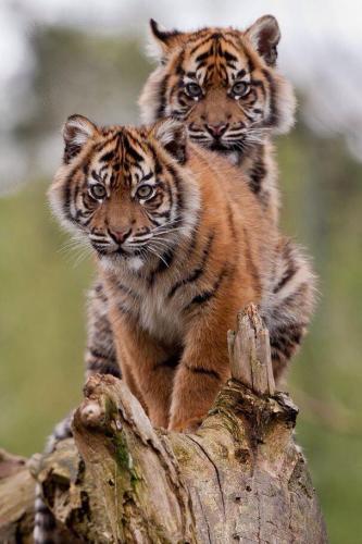 274336270_1769321813267161_4425889246680710505_n