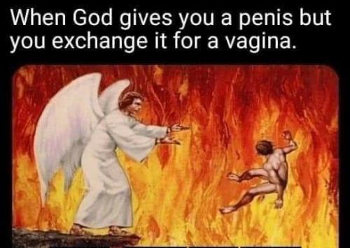 FB_IMG_1643988735531(1)