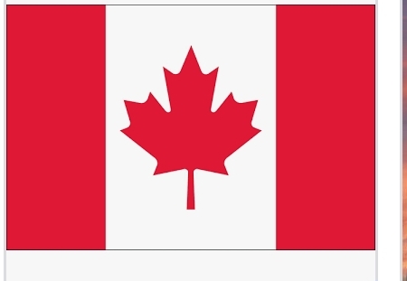 Screenshot_20220219-192304_Chrome