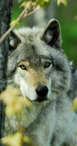 a808f3672a571537c5eb5dde9720f523