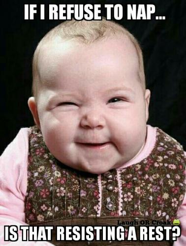 17200973_1445944602131334_2561071645273740416_n