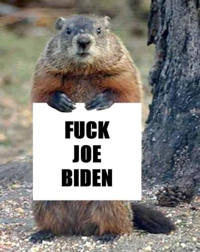 10:52:58 GMT-0600 (CST).image