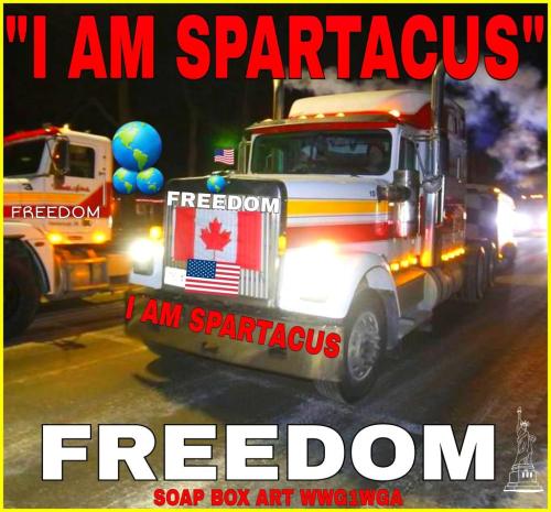 FREEDOM TRUCKERS
