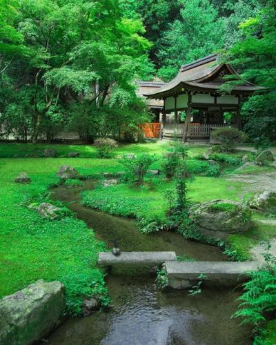 273513381_481186357056909_2632606723564420709_n