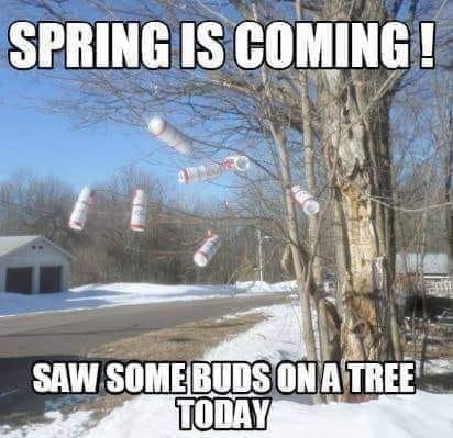 273527376_1012232720471987_7240152612537290379_n