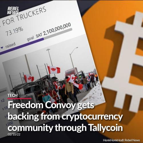 259676925_4950565158343717_6138222494860414702_n