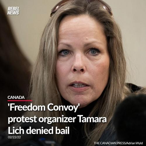 274535003_4987077374692495_1177863736063177705_n