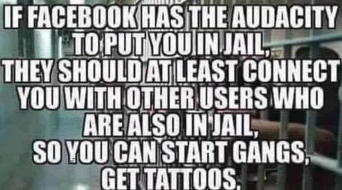 FB_IMG_1643825946994