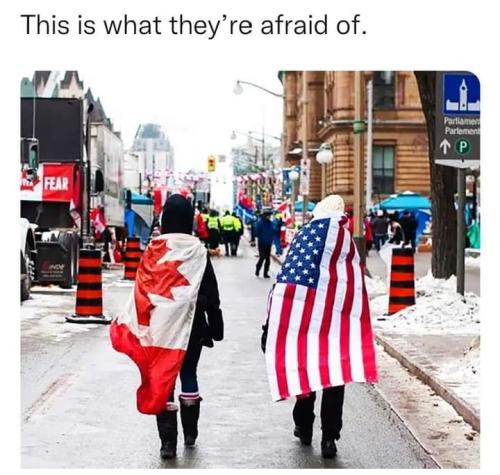 Screenshot_2022-02-22-11-28-03-20_a23b203fd3aafc6dcb84e438dda678b6