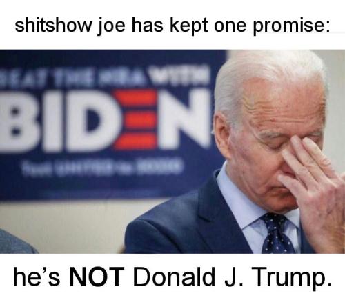 shitshow joe04