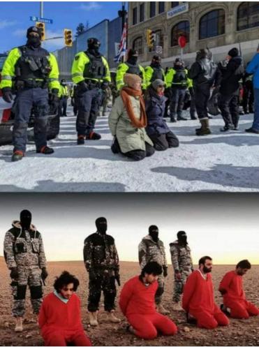 Screenshot_2022-02-20-10-56-16-18_a23b203fd3aafc6dcb84e438dda678b6