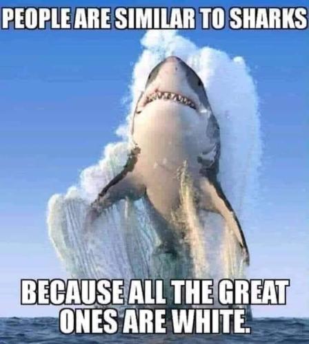 FB_IMG_1645314446574