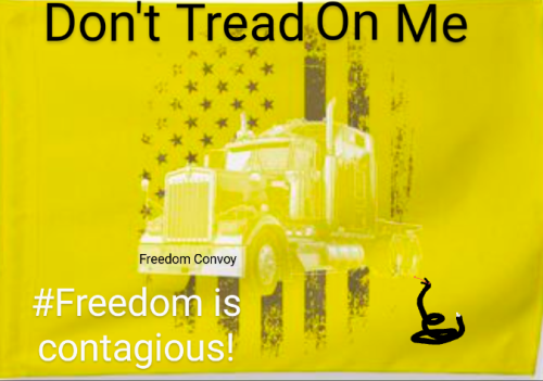 Screenshots_2022-02-05-15-14-18~3