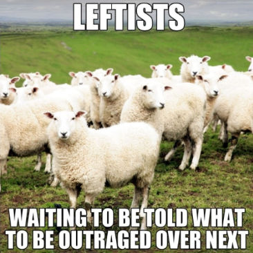 liberals267