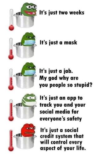 FB_IMG_1643596018219