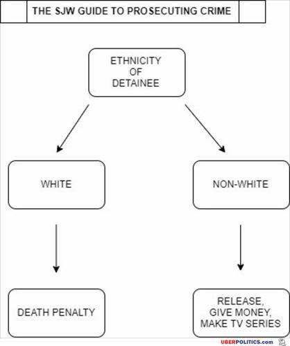the-sjw-guide