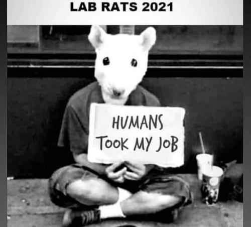 FB_IMG_1645980121910