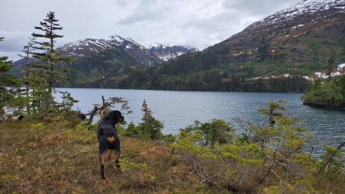 E2F1B2EE-9A00-45B2-99B4-604BA65F97FE