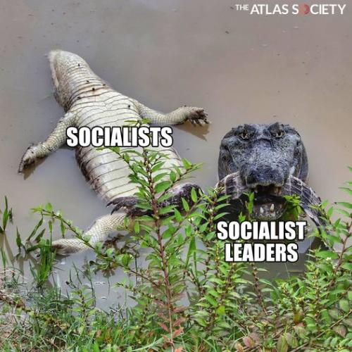 273038105_10159788665705351_5662852530275565902_n