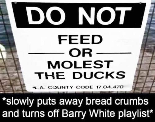 272913382_3154946051495472_4741229336284979167_n