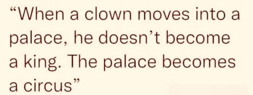 FB_IMG_1643754063351