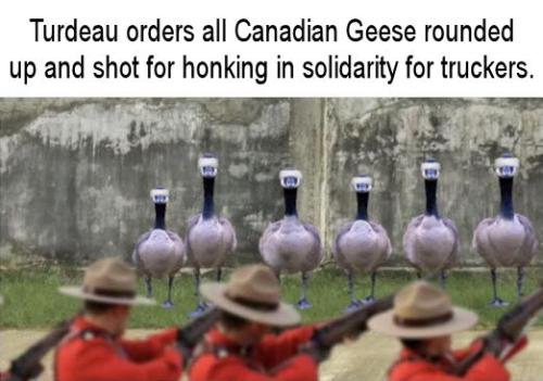 canada26
