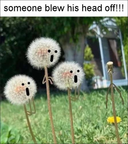 someone blew his head off