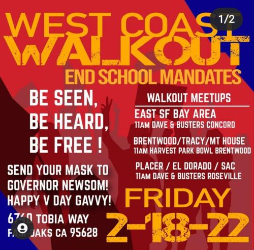 SFSacareasWalkoutAgainstSchoolMandates021822flyer