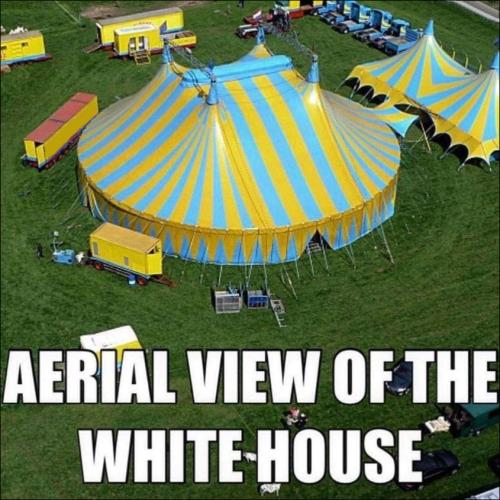 white house00