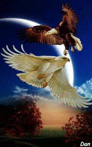 19:47:46 GMT-0600 (CST)