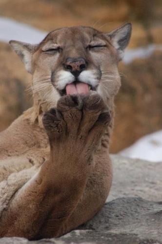 14:08:59 GMT-0600 (CST)