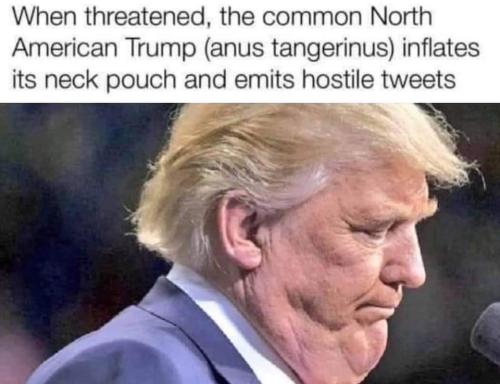 9953177C-ABF1-4D79-9444-CECFED6C94D0