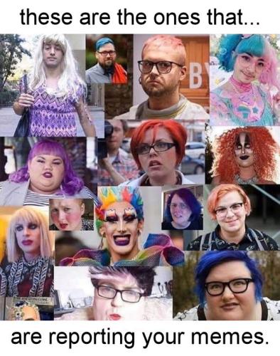 these are the ones that are reporting your memes