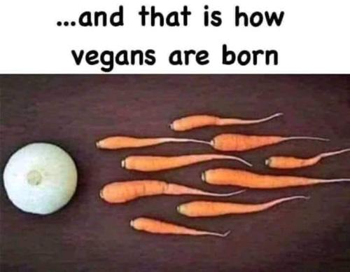 FB_IMG_1645255857782