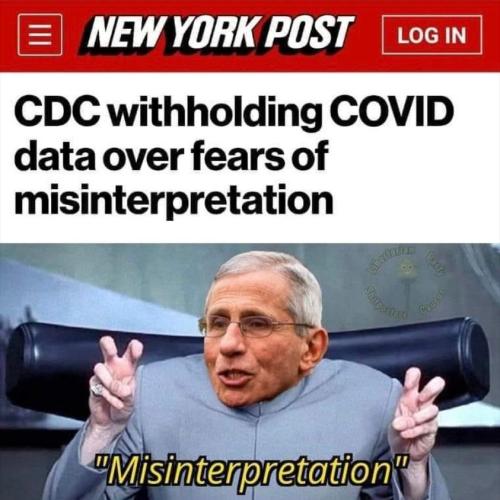 274711716_334181322081418_8597557644105133288_n (1)