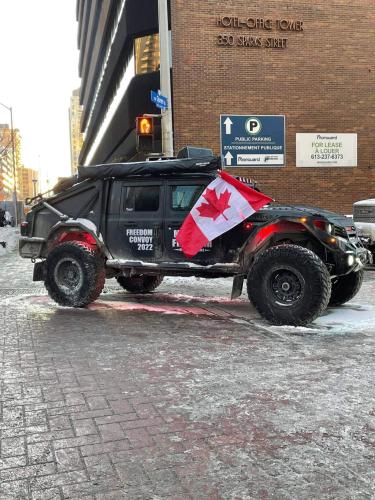 FB_IMG_1644177966908