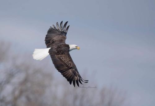 FB_IMG_1644156367961