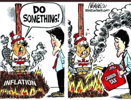 274525195_5006607516066551_9176046983519311914_n