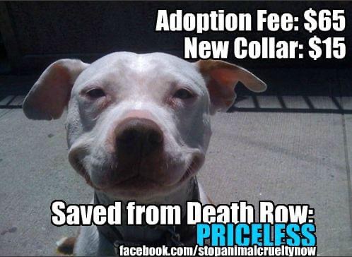 21:42:02 GMT-0600 (CST).image