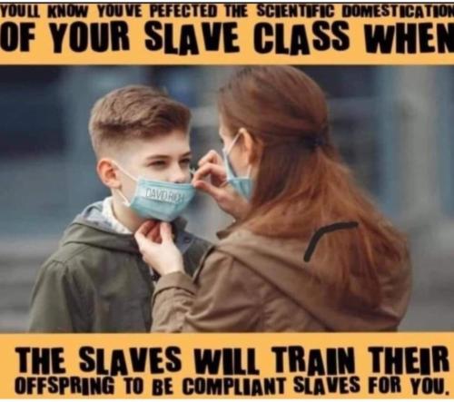 Slaves 1