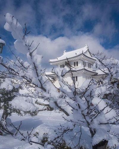 273513926_493060365523304_235843954059834937_n